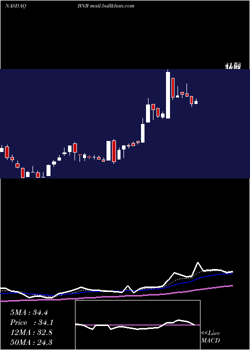  Daily chart BurningRock