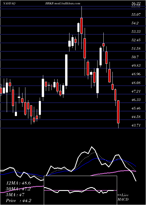  Daily chart BrukerCorporation
