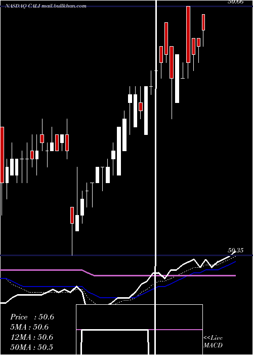  Daily chart ChinaAuto
