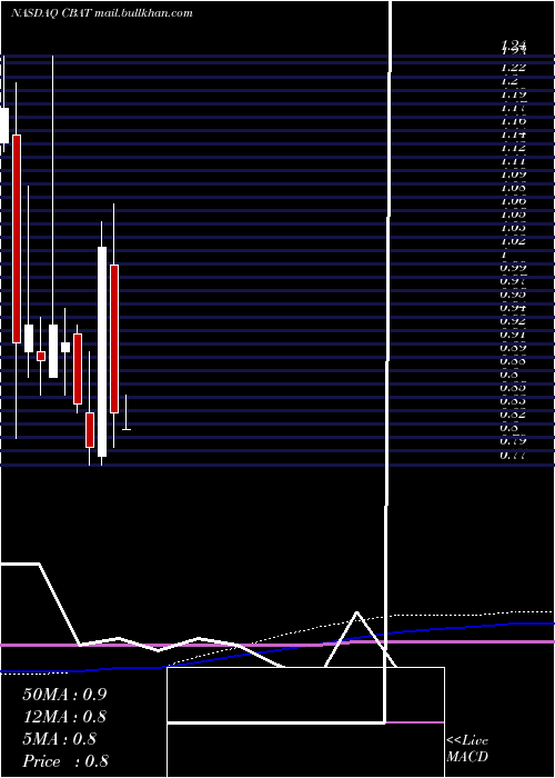  monthly chart CbakEnergy