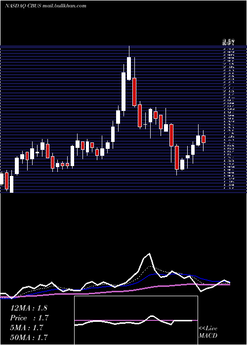  Daily chart CibusCorp