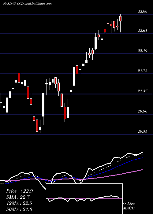  Daily chart CalamosDynamic