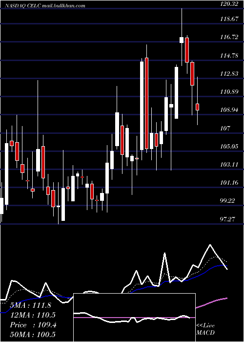  Daily chart CelcuityInc
