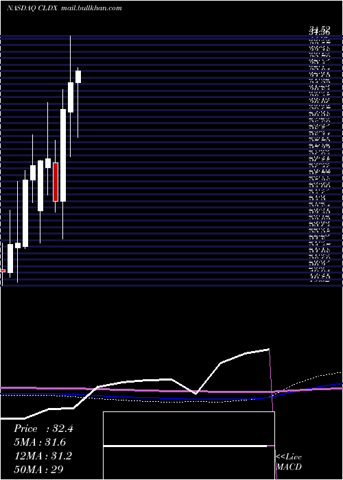  monthly chart CelldexTherapeutics
