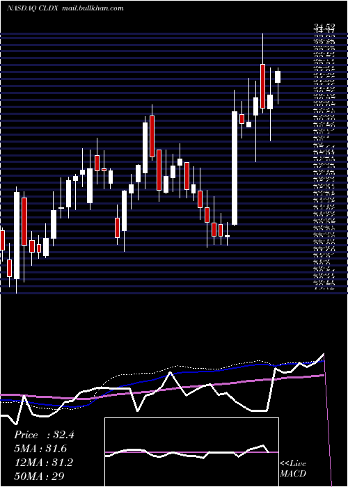  weekly chart CelldexTherapeutics
