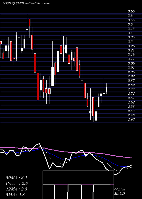  Daily chart CellectarBiosciences