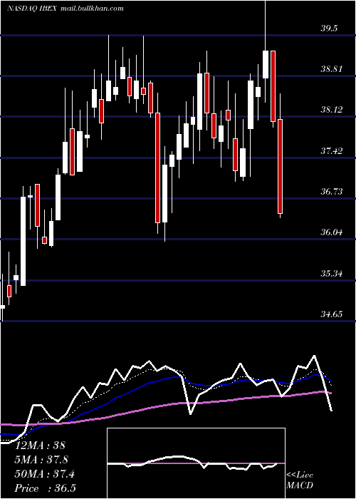  Daily chart IbexHoldings