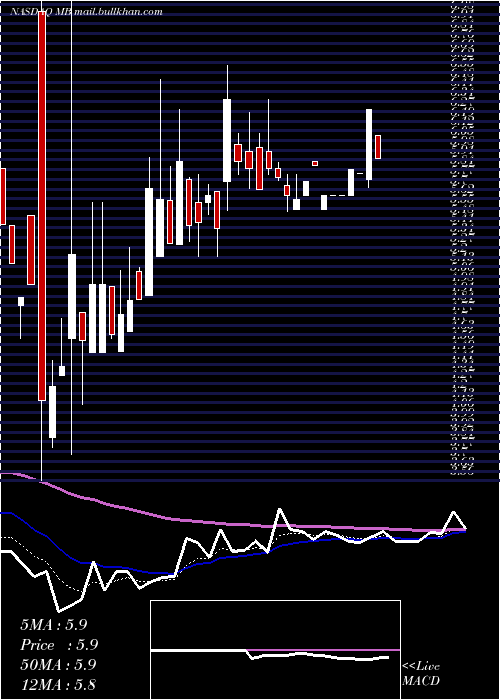  Daily chart MindbodyCls