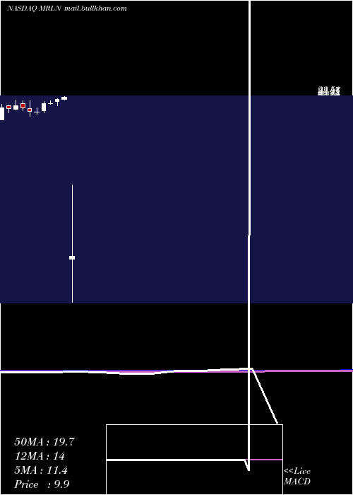  monthly chart MarlinBusiness