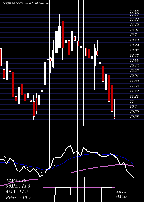  Daily chart NextcureInc