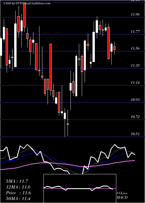  Daily chart PureCycle