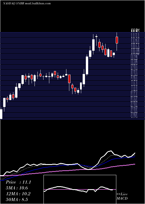  Daily chart SleepNumber