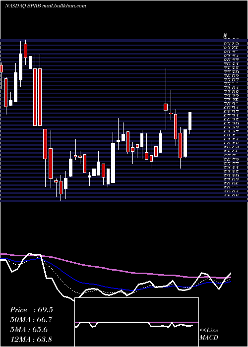  Daily chart SpruceBiosciences