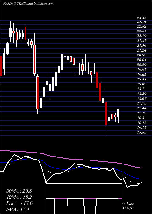  Daily chart TenableHoldings