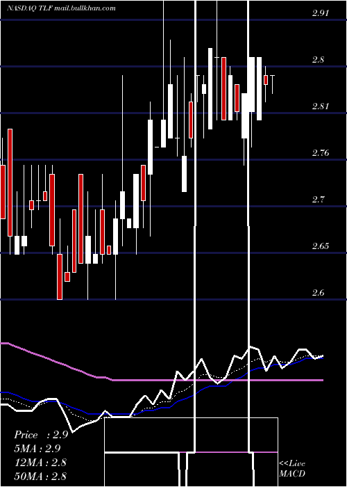  Daily chart TandyLeather