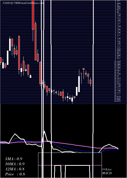  Daily chart TrinityBiotech
