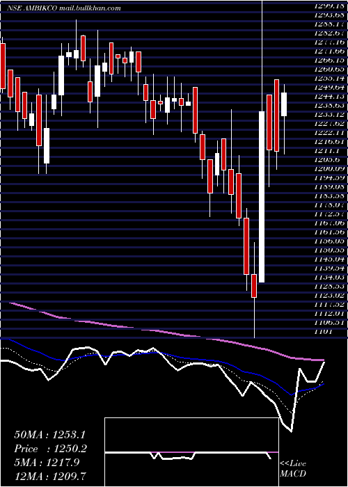  Daily chart AmbikaCotton