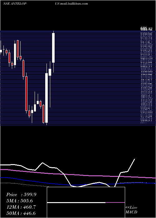  weekly chart AntelopusSelan