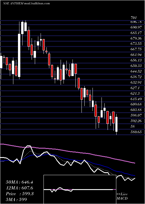  Daily chart AnthemBiosciences