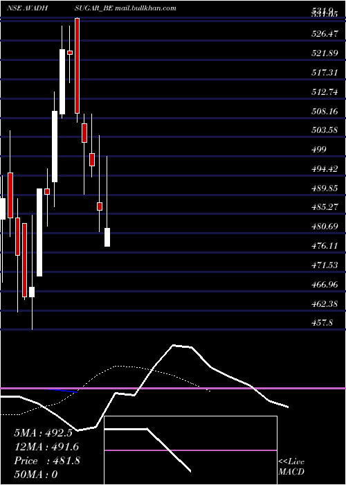  Daily chart AvadhSug