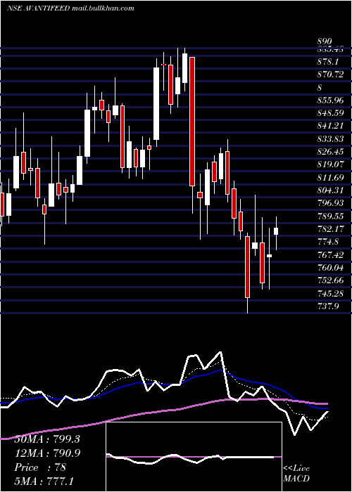  Daily chart AvantiFeeds