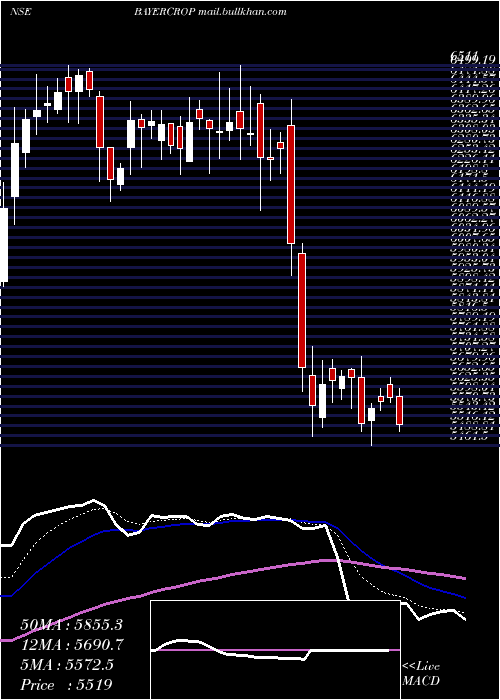  Daily chart BayerCropscience