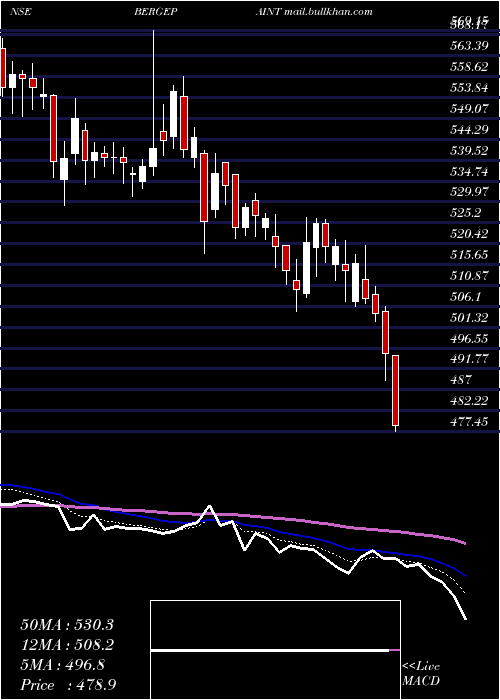  Daily chart BergerPaints
