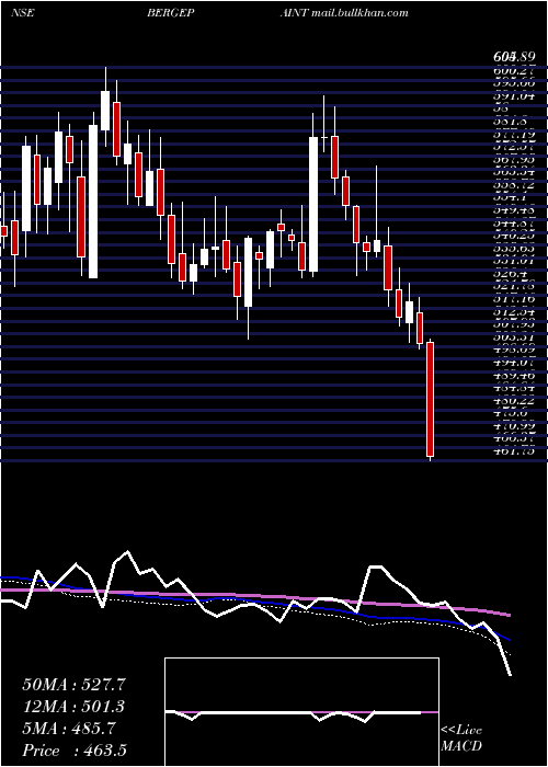  weekly chart BergerPaints