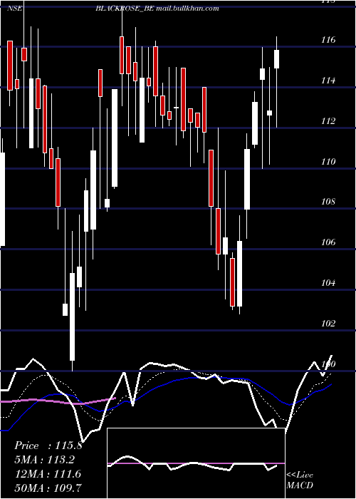  Daily chart BlackRose