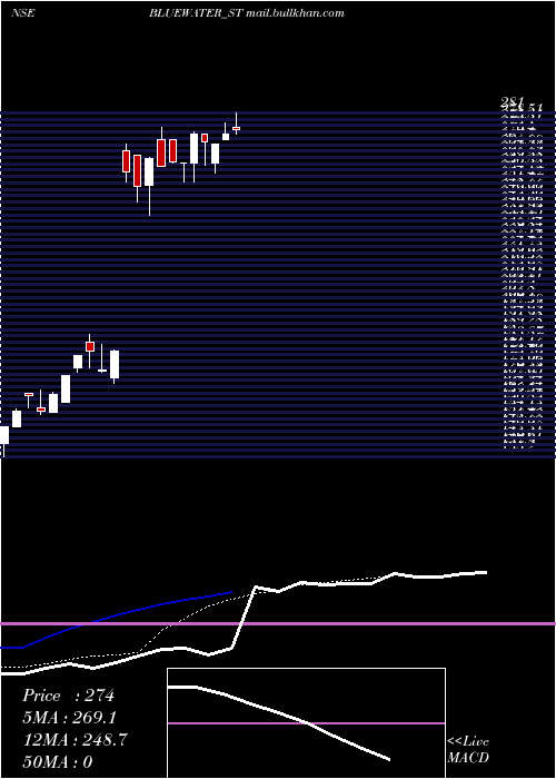  Daily chart BlueWater