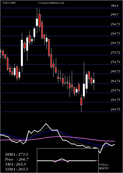 Daily chart CampusActivewear