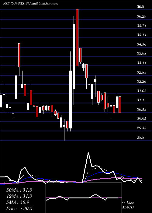  Daily chart CanarysAutomations