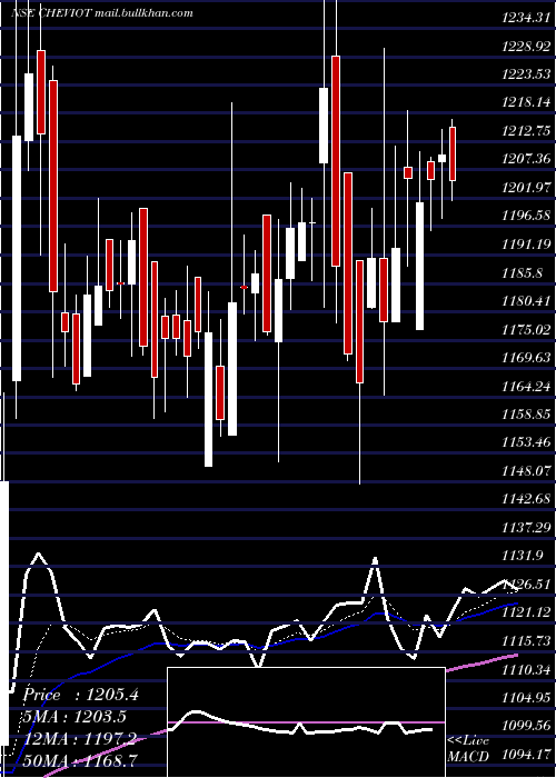  Daily chart CheviotCompany
