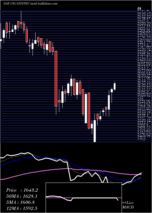  Daily chart CignitiTechnologies