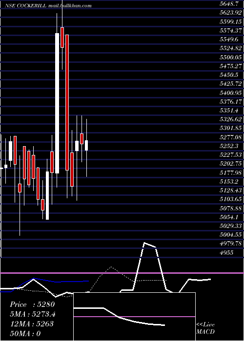  Daily chart JohnCockerill