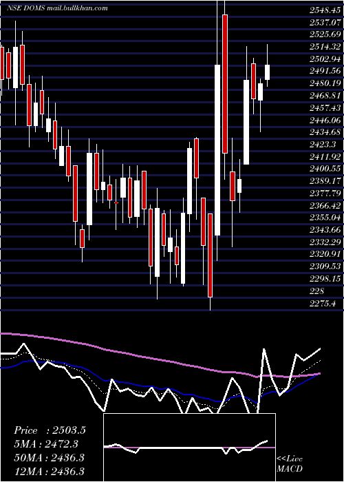 Daily chart DomsIndustries
