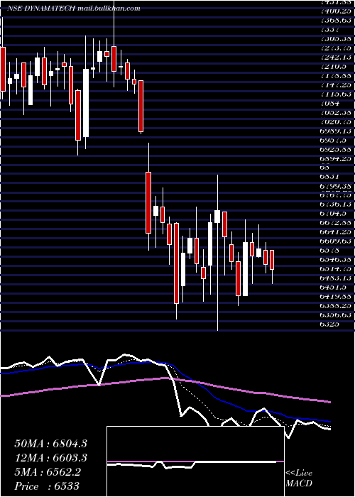  Daily chart DynamaticTechnologies
