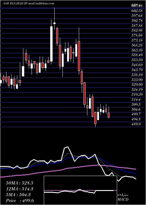  Daily chart ElgiEquipments