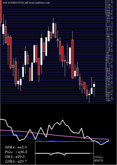  weekly chart EverestIndustries