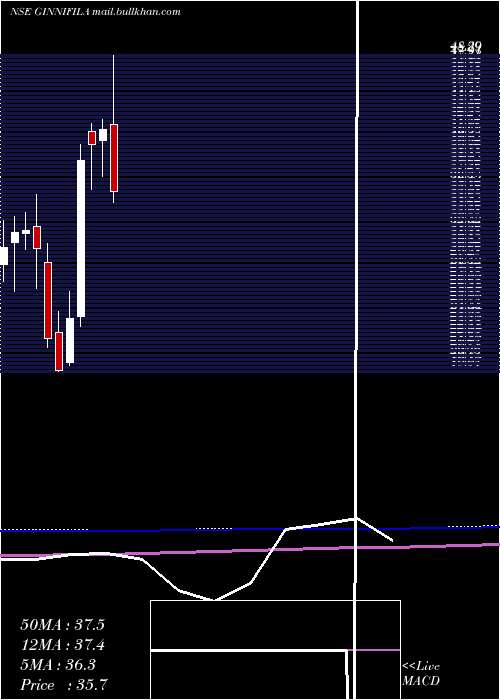  monthly chart GinniFilaments