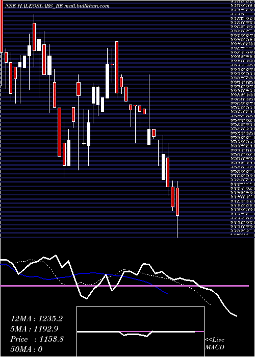  Daily chart HaleosLabs