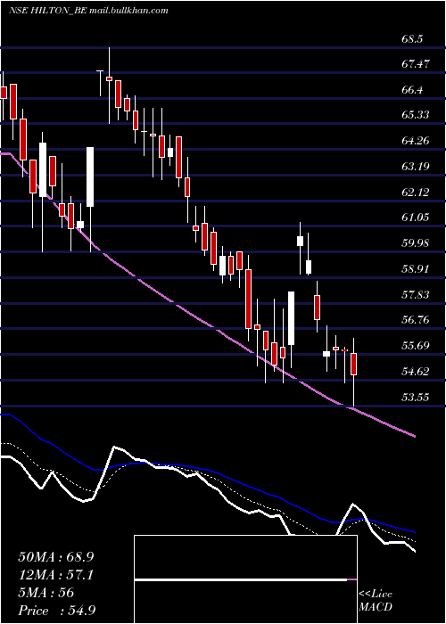  Daily chart HiltonMetal