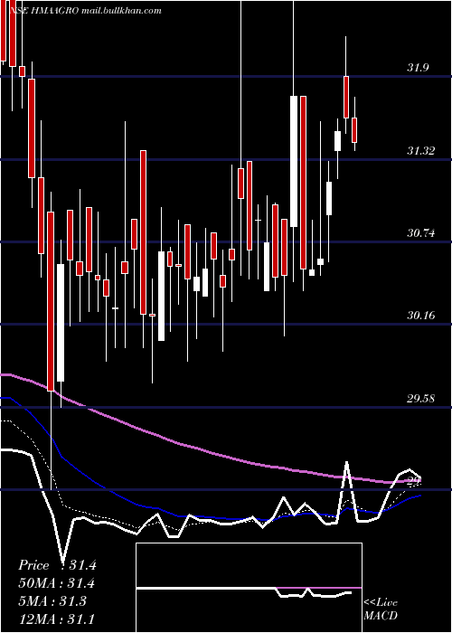  Daily chart HmaAgro