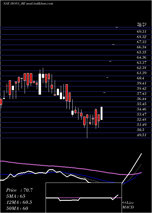  Daily chart HovServices