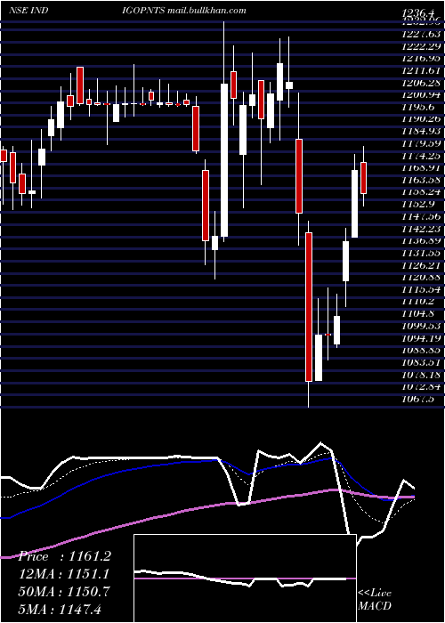 Daily chart IndigoPaints