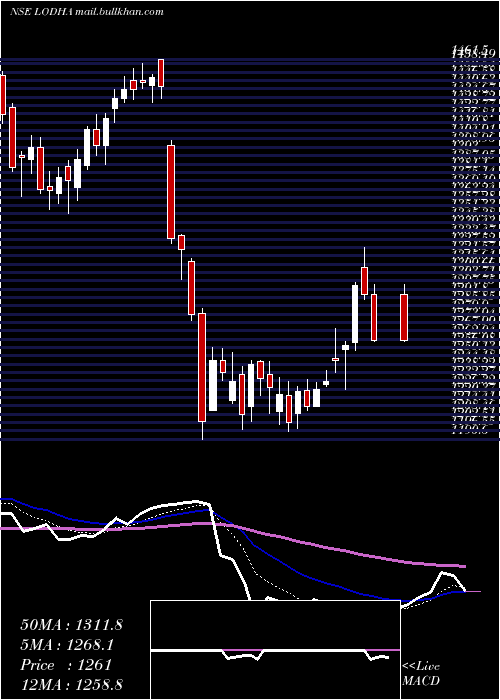 Daily chart MacrotechDevelopers