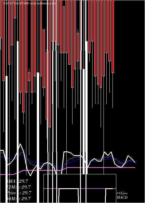  Daily chart ZerodhaamcLtgiltcase