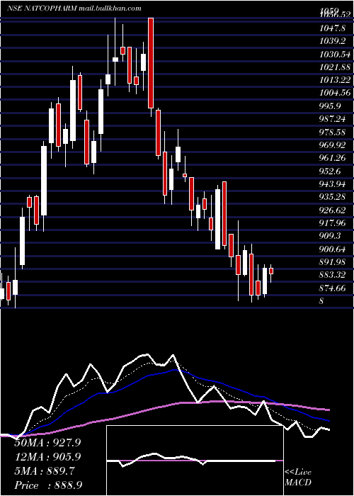  Daily chart NatcoPharma