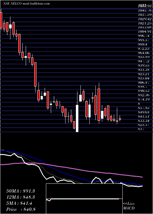  Daily chart Nelco
