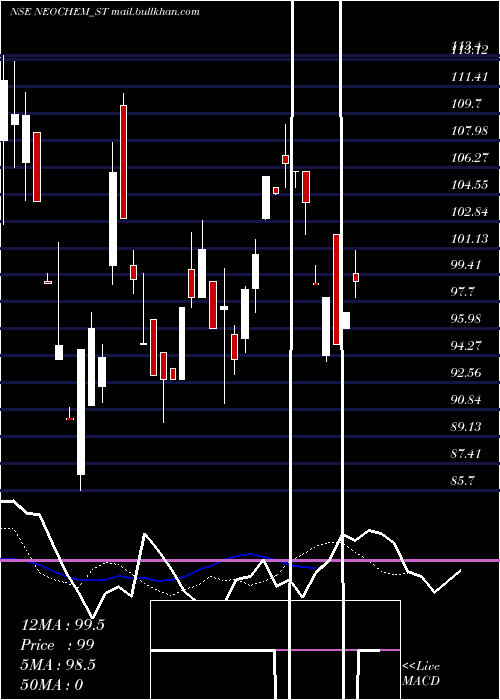  Daily chart NeochemBio